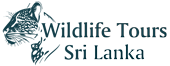 logo WLTS