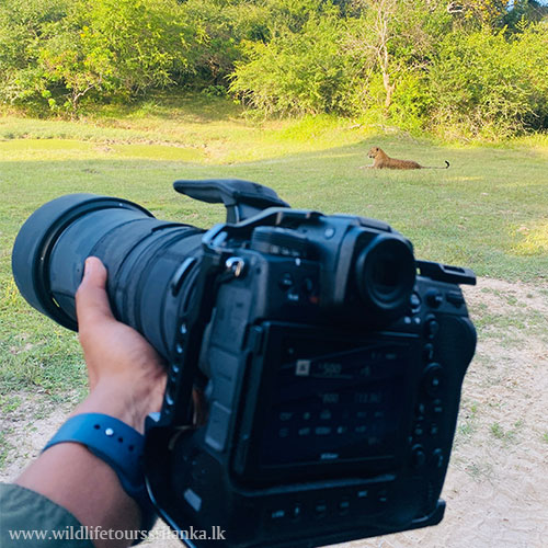 wildlifetourssrilankaLK 08