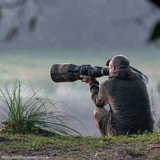 wildlifetourssrilankaLK 26 1